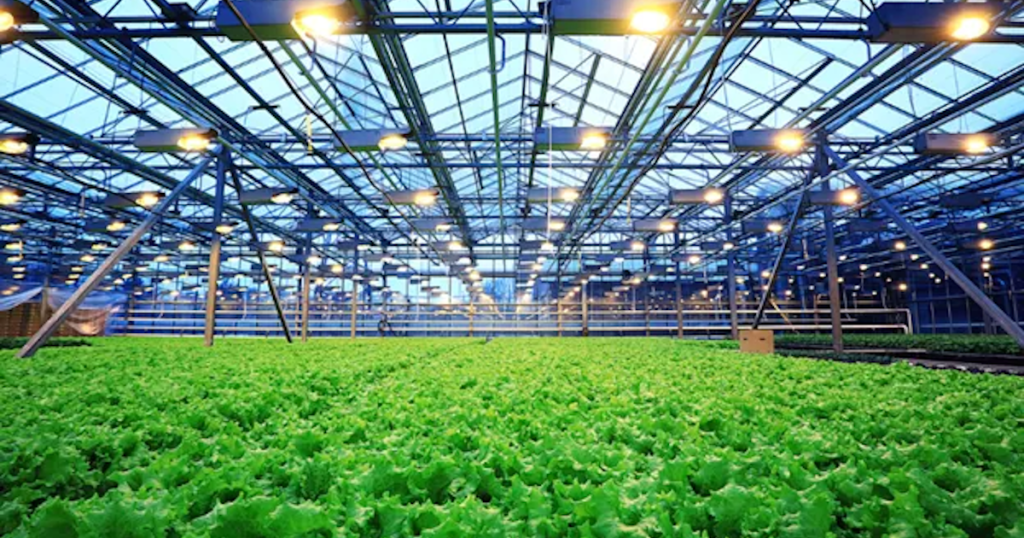 Agribisnis berbasis teknologi